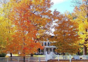 home with fall trees in yard